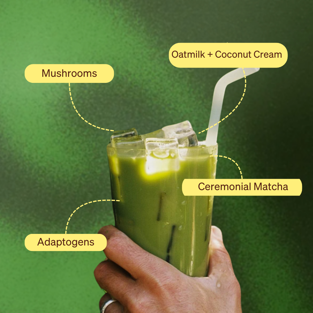 Matcha Starter Set Personal Beverage Blend
